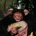 KingLouie Web